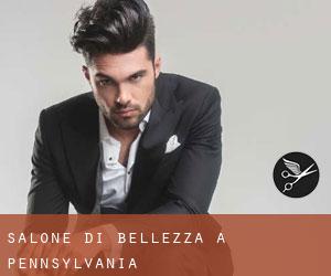 Salone di bellezza a Pennsylvania Salone di bellezza a Pennsylvania
