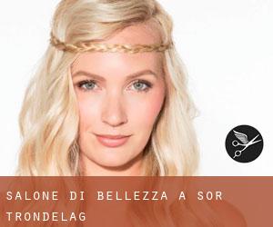 Salone di bellezza a Sør-Trøndelag Salone di bellezza a Sør-Trøndelag