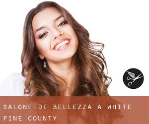 Salone di bellezza a White Pine County