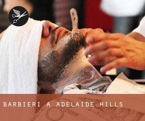 Barbieri a Adelaide Hills
