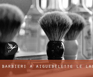 Barbieri a Aiguebelette-le-Lac