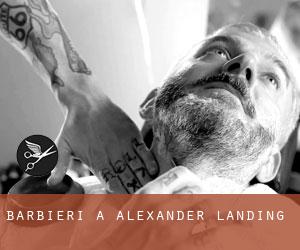 Barbieri a Alexander Landing