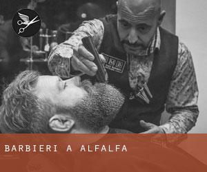 Barbieri a Alfalfa