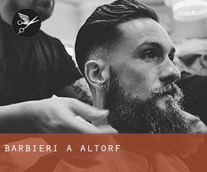 Barbieri a Altorf