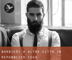 Barbieri a Altre città in Repubblica Ceca Barbieri a Altre città in Repubblica Ceca