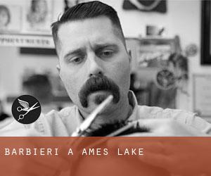 Barbieri a Ames Lake