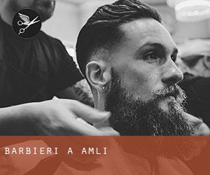 Barbieri a Åmli Barbieri a Åmli