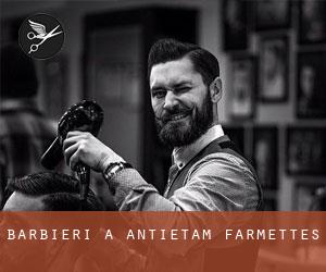 Barbieri a Antietam Farmettes