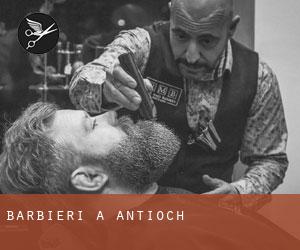 Barbieri a Antioch