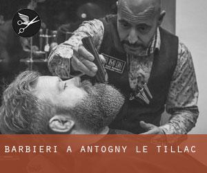 Barbieri a Antogny le Tillac