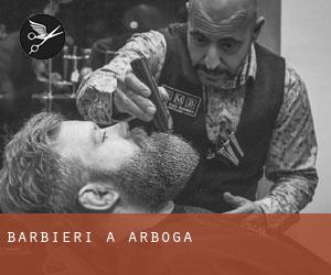 Barbieri a Arboga