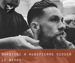 Barbieri a Aubepierre-Ozouer-le-Repos