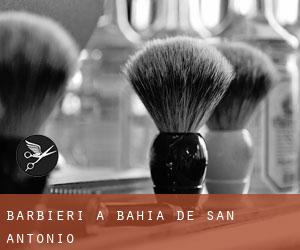 Barbieri a Bahia de San Antonio