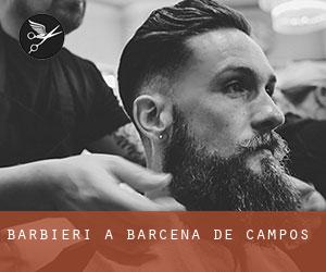 Barbieri a Bárcena de Campos