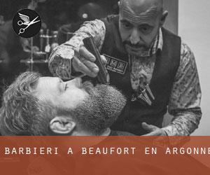 Barbieri a Beaufort-en-Argonne
