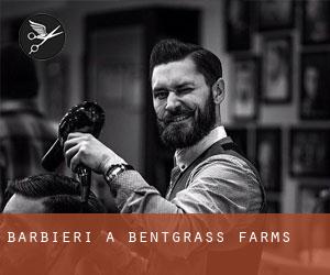 Barbieri a Bentgrass Farms