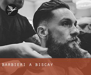 Barbieri a Biscay