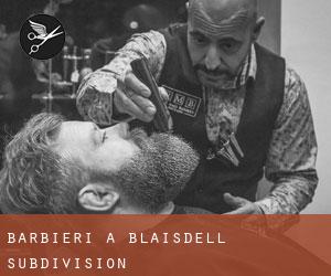 Barbieri a Blaisdell Subdivision