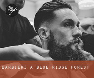 Barbieri a Blue Ridge Forest