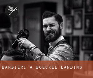 Barbieri a Boeckel Landing