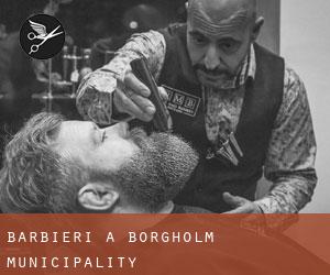 Barbieri a Borgholm Municipality