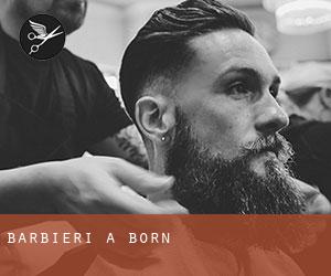 Barbieri a Born