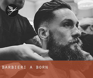 Barbieri a Born Barbieri a Born
