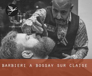 Barbieri a Bossay-sur-Claise