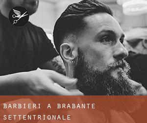 Barbieri a Brabante Settentrionale Barbieri a Brabante Settentrionale