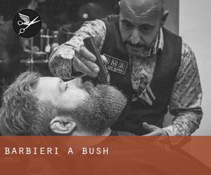 Barbieri a Bush