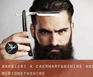 Barbieri a Caernarfonshire and Merionethshire Barbieri a Caernarfonshire and Merionethshire