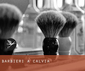 Barbieri a Calvià Barbieri a Calvià