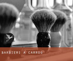 Barbieri a Carrog