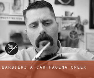 Barbieri a Carthagena Creek