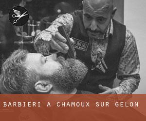 Barbieri a Chamoux-sur-Gelon