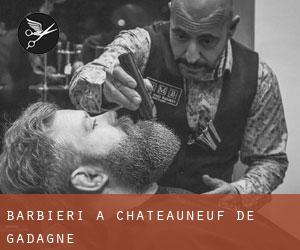 Barbieri a Châteauneuf-de-Gadagne