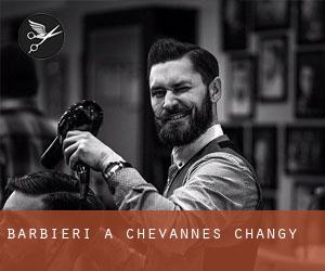 Barbieri a Chevannes-Changy