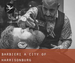 Barbieri a City of Harrisonburg