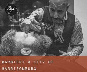 Barbieri a City of Harrisonburg Barbieri a City of Harrisonburg