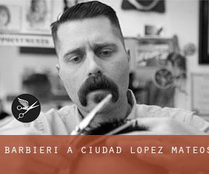 Barbieri a Ciudad López Mateos