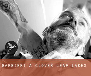 Barbieri a Clover Leaf Lakes