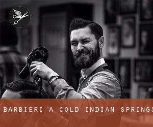 Barbieri a Cold Indian Springs