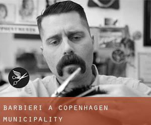 Barbieri a Copenhagen municipality Barbieri a Copenhagen municipality