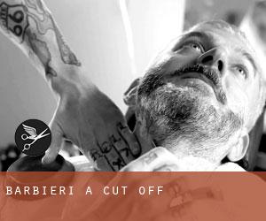 Barbieri a Cut Off