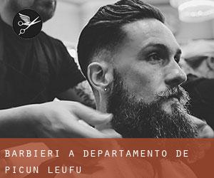 Barbieri a Departamento de Picún Leufú