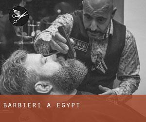 Barbieri a Egypt