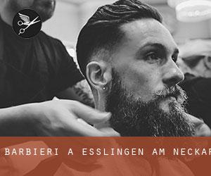 Barbieri a Esslingen am Neckar Barbieri a Esslingen am Neckar