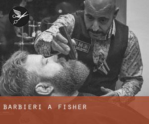 Barbieri a Fisher