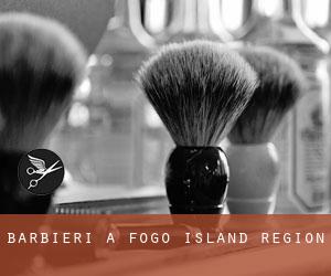 Barbieri a Fogo Island Region