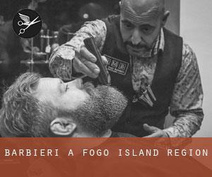 Barbieri a Fogo Island Region